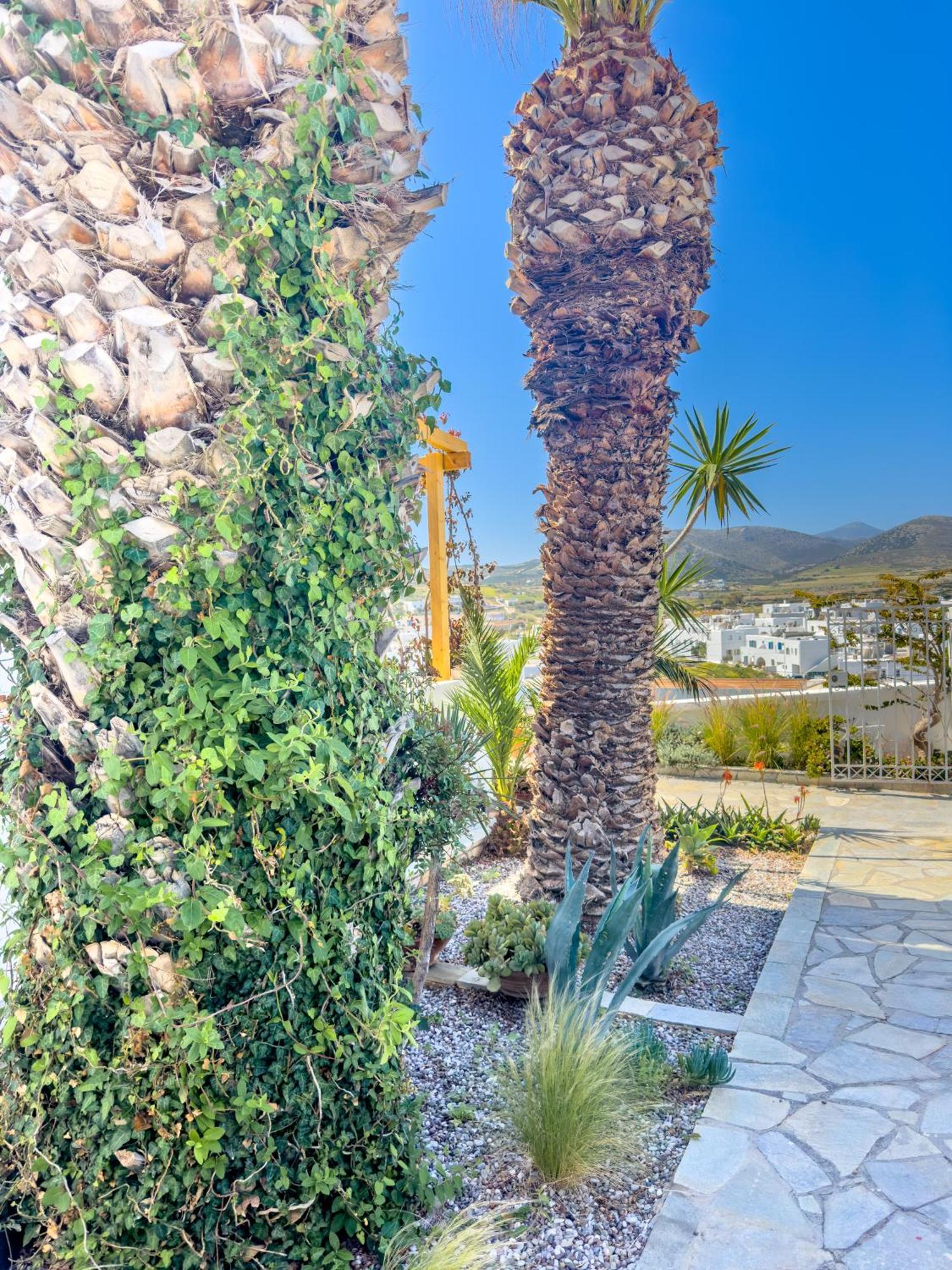 Kefalas Studio In Naousa Exterior photo